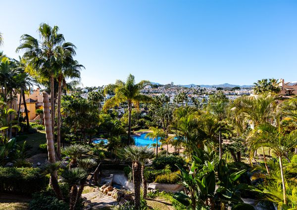 Beautiful apartment for rent in El Campanario