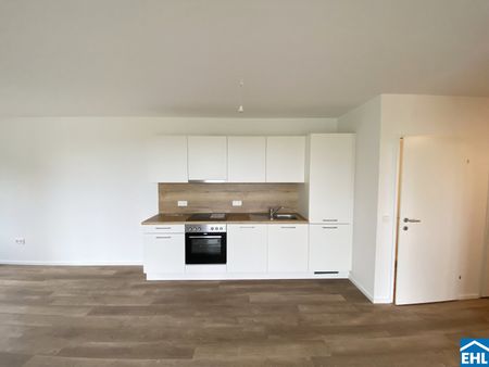 Ihr Wohnglück wartet: Moderne Mietwohnungen im Tullnerfeld - Foto 4