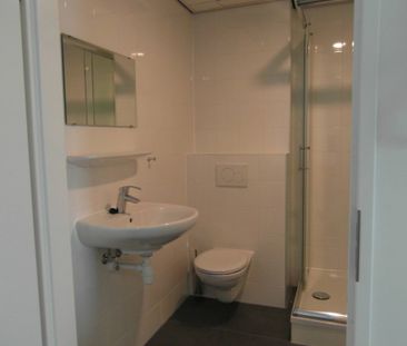 Jan van Gentstraat - foto 6