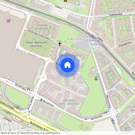 Łacina, Nowe Miasto, Poznań, wielkopolskie