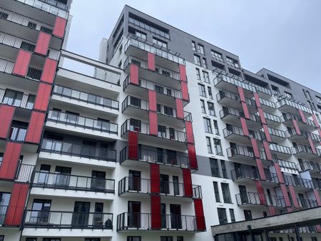 Mieszkanie dwupokojowe w Szczecinie na wynajem. - Zdjęcie 3