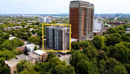 Appartement à louer - Montréal (Le Plateau-Mont-Royal) (Le Plateau-Mont-Royal) - Photo 4