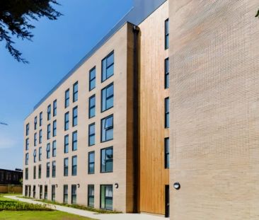 Studio Apartment Bronze - Photo 5