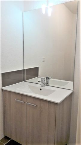 Location Appartement 1 pièce 29m² PAU 64000 - Photo 5