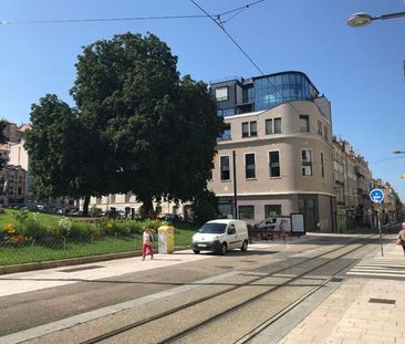 Appartement à louer 3 pièces • Saint-Étienne - Photo 5