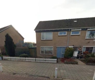 Maison familiale d'angle Beukenstraat 203, Goes - À louer - Foto 1