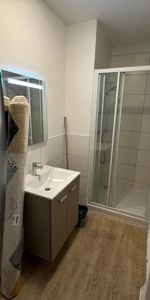 Appartement à louer, 1 pièce - Angers 49000 - Photo 4