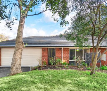 97 Manchester Road, Mooroolbark - Photo 5