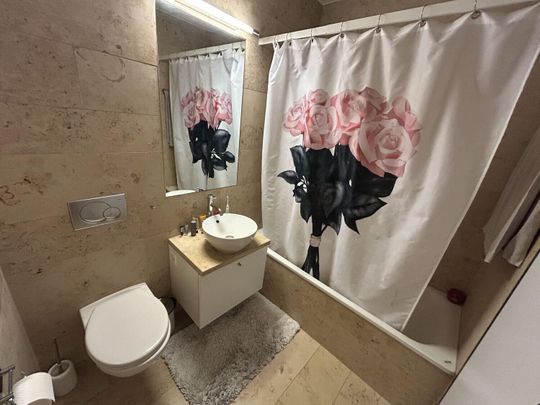 11/2-ROOM APARTMENT IN WINTERTHOUR - CITY, FURNISHED, TEMPORARY - Photo 1