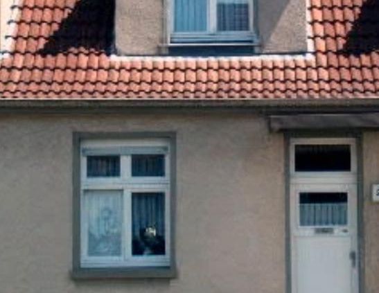 Nachmieter gesucht zum 15.01.2026 - Photo 1