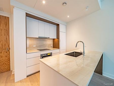 Rue de la Montagne, H3G 1Y7, Montréal - Photo 4