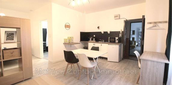 Centre-ville, Location appartement 1 pièce 32 m² - Photo 2