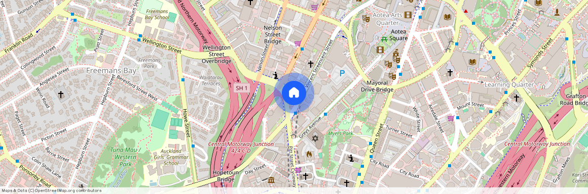 141 Vincent Street, Auckland Central, Auckland City