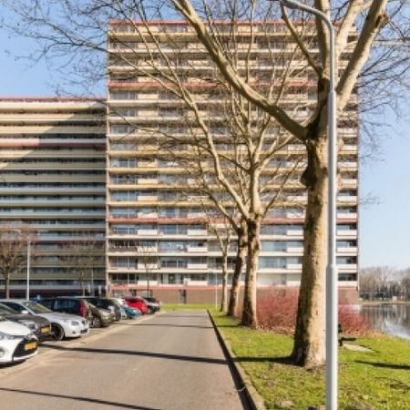 Oost Dorsch 0ong, 1504 Zaandam, Nederland - Foto 3