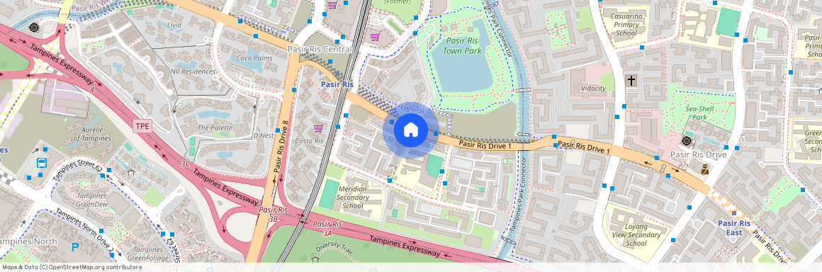 540 Pasir Ris Street 51 (510540), Singapore