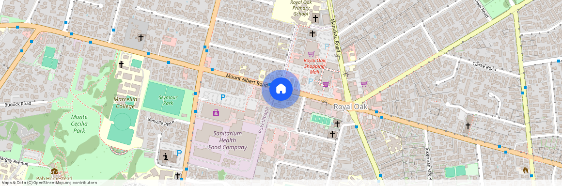 695 Mt Albert Road, Royal Oak, Auckland City