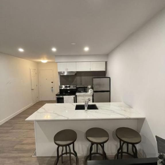 1 CH - 1 SDB - Montréal - $1,399 /mo - Photo 1