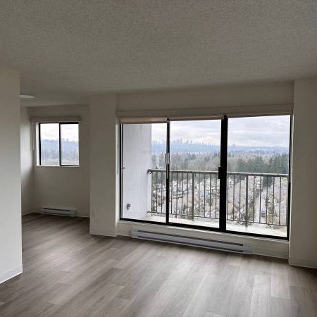 2-Bedroom Fully Renovated close to SkyTrain (Lougheed) - Photo 3