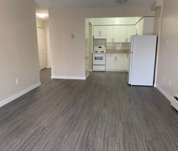 Brooks Manor — 312 - Photo 6