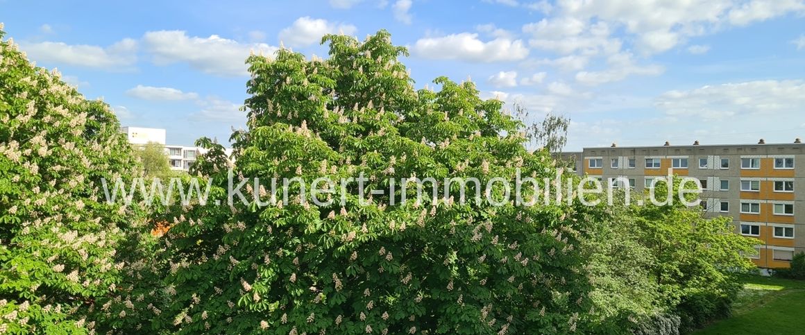 Frisch sanierte 4-Raum-Wohnung mit Balkon und Fahrstuhl in guter Wohnlage von Ha ... - Foto 1