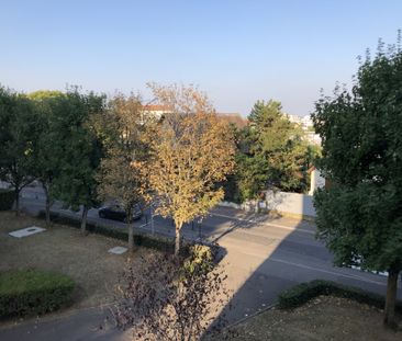 Location Appartement 1 pièce 24m² TALANT 21240 - Photo 4