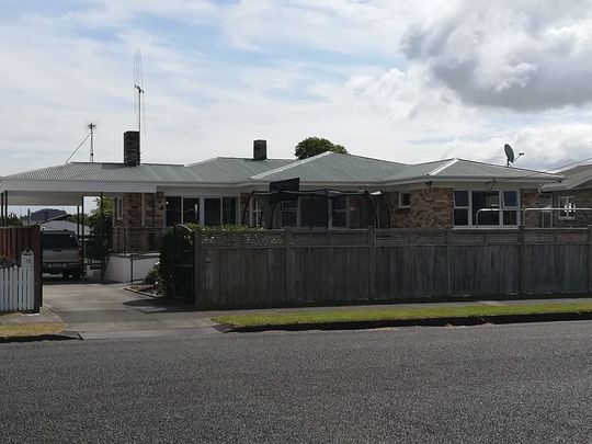 Sunny house with large section in central location - Photo 1