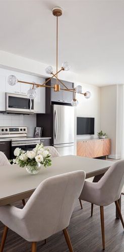 1 Bedroom - With Balcony - 5885 Cavendish Boulevard, Montréal - Photo 2