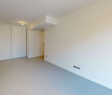 Ferney-Voltaire - Magnificent house for rent with garden - Photo 4