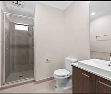 Splendid 3Br Family Unit in Deanside! - Photo 5