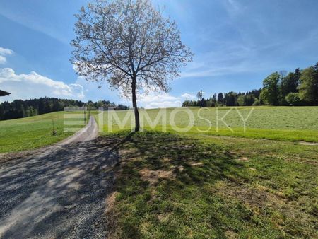 Ihre private Oase: Garten, Holzofen und Ruhe vereint - Foto 5