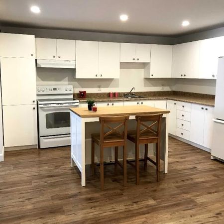 GRAND 5 PIÈCES SEMI MEUBLÉ REFAIT À NEUF AVEC COUR INTÉRIEURE (cession de bail) - Photo 4