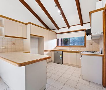 Spacious Family Living in a Leafy Ormond Pocket - Photo 3