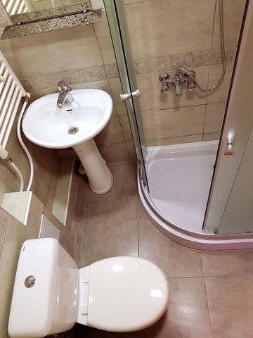 Garsoniera de inchiriat in zona Tei - Fotografie 4