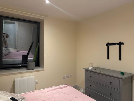 1 Bed Flat, Vesta Street, M4 - Photo 4