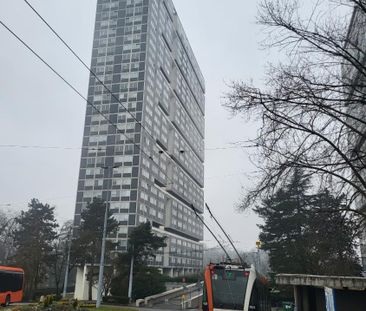 3.5 Zimmer, 67 m², 24. Stock - Photo 5