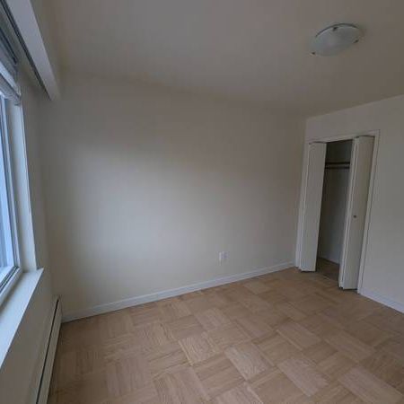 One bedroom apartment for rent - Photo 3