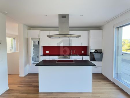 DIRECT LIFT ACCESS WITH LARGE TERRACES - Photo 4