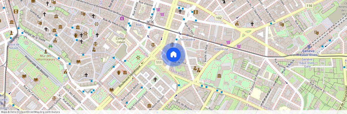 Rue des Glacis de Rive 17, 1207 GENEVE