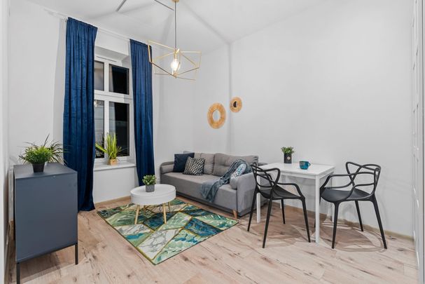 Przytulna tania kawalerka w centrum / Internet - Photo 1