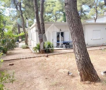 Μονοκατοικία για ενοικίαση Νέα Κηφισιά (Κηφισιά) - Photo 3