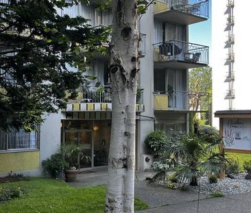 1 Bedroom Suite in the West End next to English Bay - Photo 2