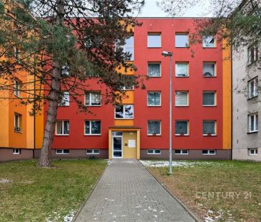 Pronájem bytu 1+1, Nový Jičín, ul.Dvořákova. - Photo 2