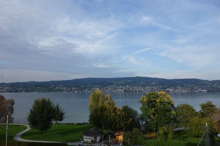 Schöne Wohnung mit Blick auf den See - Foto 3