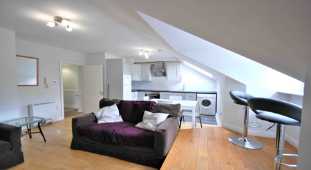 Bow Bridge Place (Penthouse Apartment) , Bows Lane, Dublin 8 - Photo 4