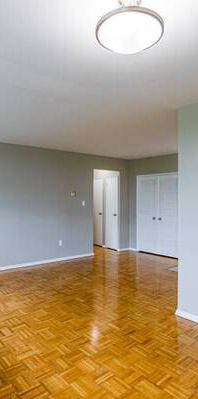 Room for Rent in North York - Available Now! - Photo 1