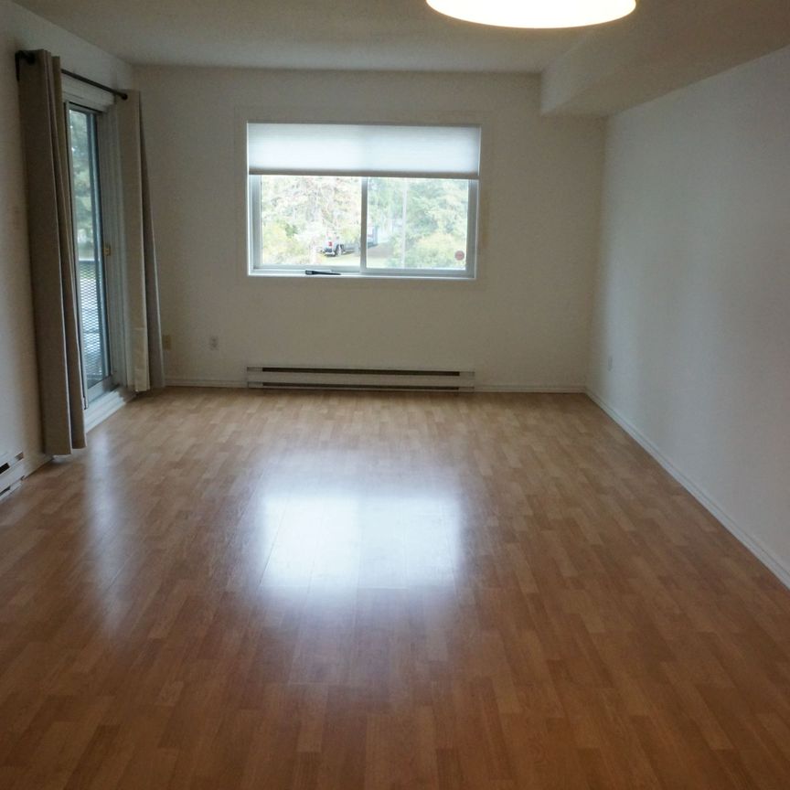 For Lease - 316 Lorry Greenberg Drive Unit# 217, Hunt Club - South Keys and Area, Ontario - Photo 1