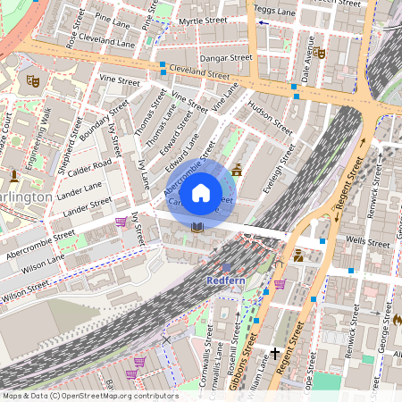 55 Caroline St, NSW 2016, Redfern