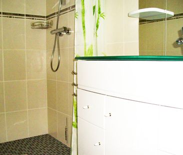 Location Appartement 2 pièces 46m² VARCES ALLIERES ET RISSET 38760 - Photo 6