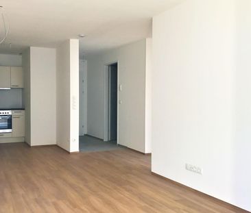 Moderne 2-Zi-Wohnung mit Wintergarten zu vermieten! - Photo 6