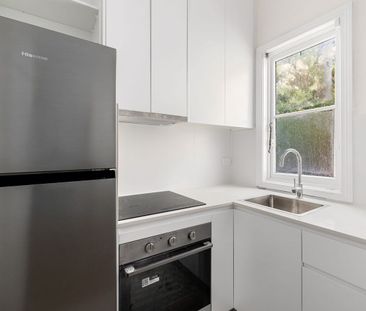 Renovated character apartment in prime setting - Photo 2